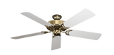 raindace
