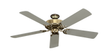 raindace