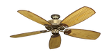 Dixie belle ceiling fan in Bright Brass with Arbor 275 blades