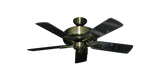 raindace