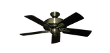 raindace