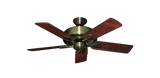 raindace