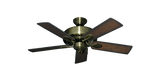 raindace