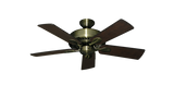 raindace