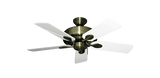 raindace