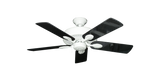 raindace