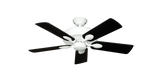 raindace
