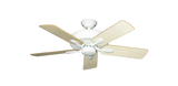 raindace