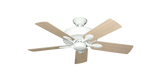 raindace