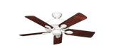 raindace