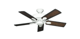 raindace