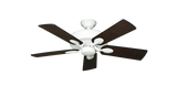 raindace