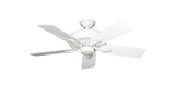 raindace