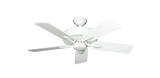 raindace