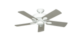 raindace