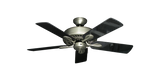 raindace