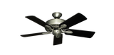 raindace