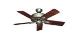 raindace