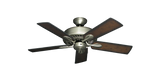 raindace