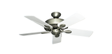 raindace