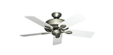 raindace