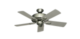 raindace