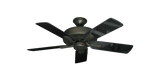 raindace