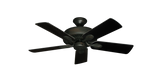 raindace