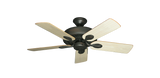 raindace