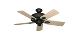 raindace