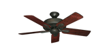 raindace