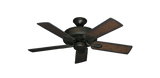 raindace
