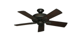 raindace