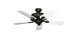 raindace