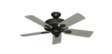raindace