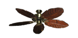 raindace