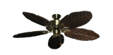 raindace
