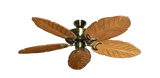 raindace