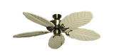 raindace