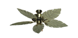 raindace