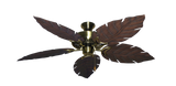 raindace