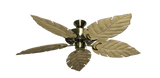 raindace