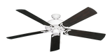 raindace