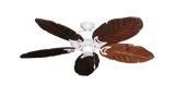 raindace