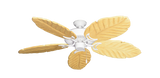 raindace