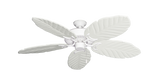 raindace