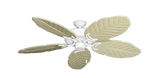 raindace