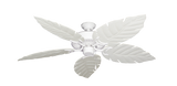 raindace