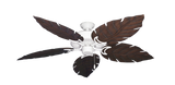 raindace