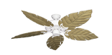 raindace